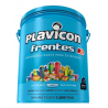 PLAVICON FRENTES XP BLANCO LATA 12 KG